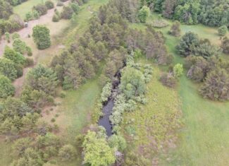 Forty acres in Adams County located in the Town of Strongs Prairie