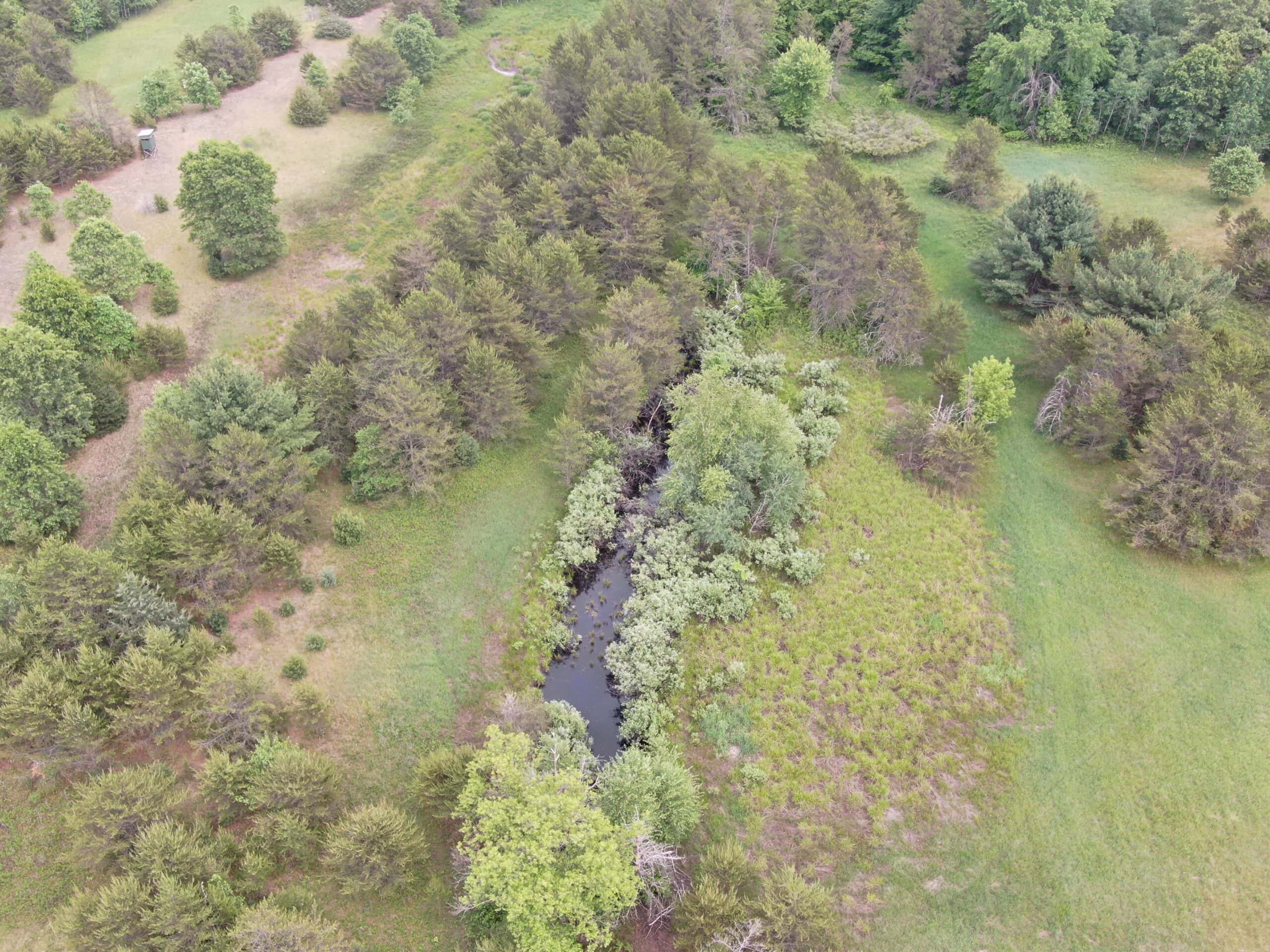 Forty acres in Adams County located in the Town of Strongs Prairie