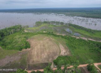 88 Acre Hunting Property – Wilkinson County, MS