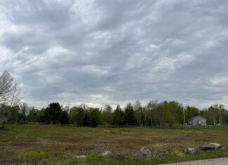 29.9 Acres Downeast – Cooper, Maine