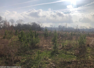 88.5 acres Hunting & Timber Land for Sale in Utica, Ms