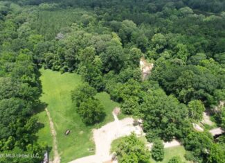 44 Acre Hunting Land in Wilkinson County, MS