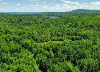 Large Acreage Maine Land for Sale Near West Grand Lake Chain