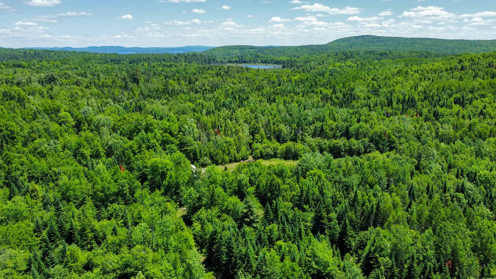 Large Acreage Maine Land for Sale Near West Grand Lake Chain