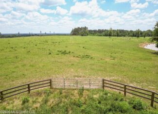 Pasture Land for Sale in Lincoln County, MS