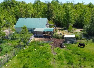 Unique Eco Friendly Home on 18.7 Acres – Waterford, Maine