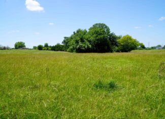 Lincoln County Recreational Homesite, Pond And Acreage For Sale