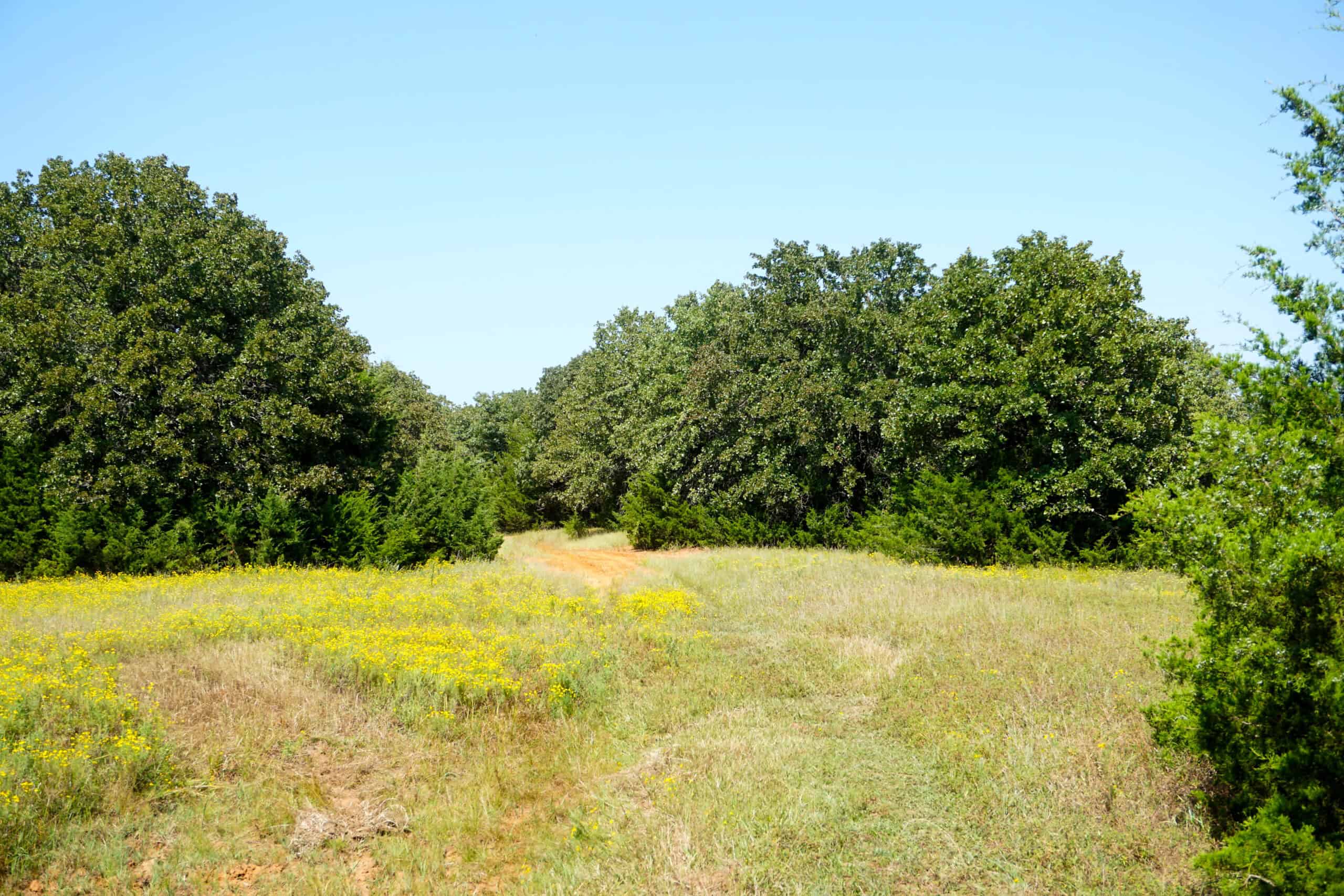 20 Acres +/- in Lincoln County For Sale
