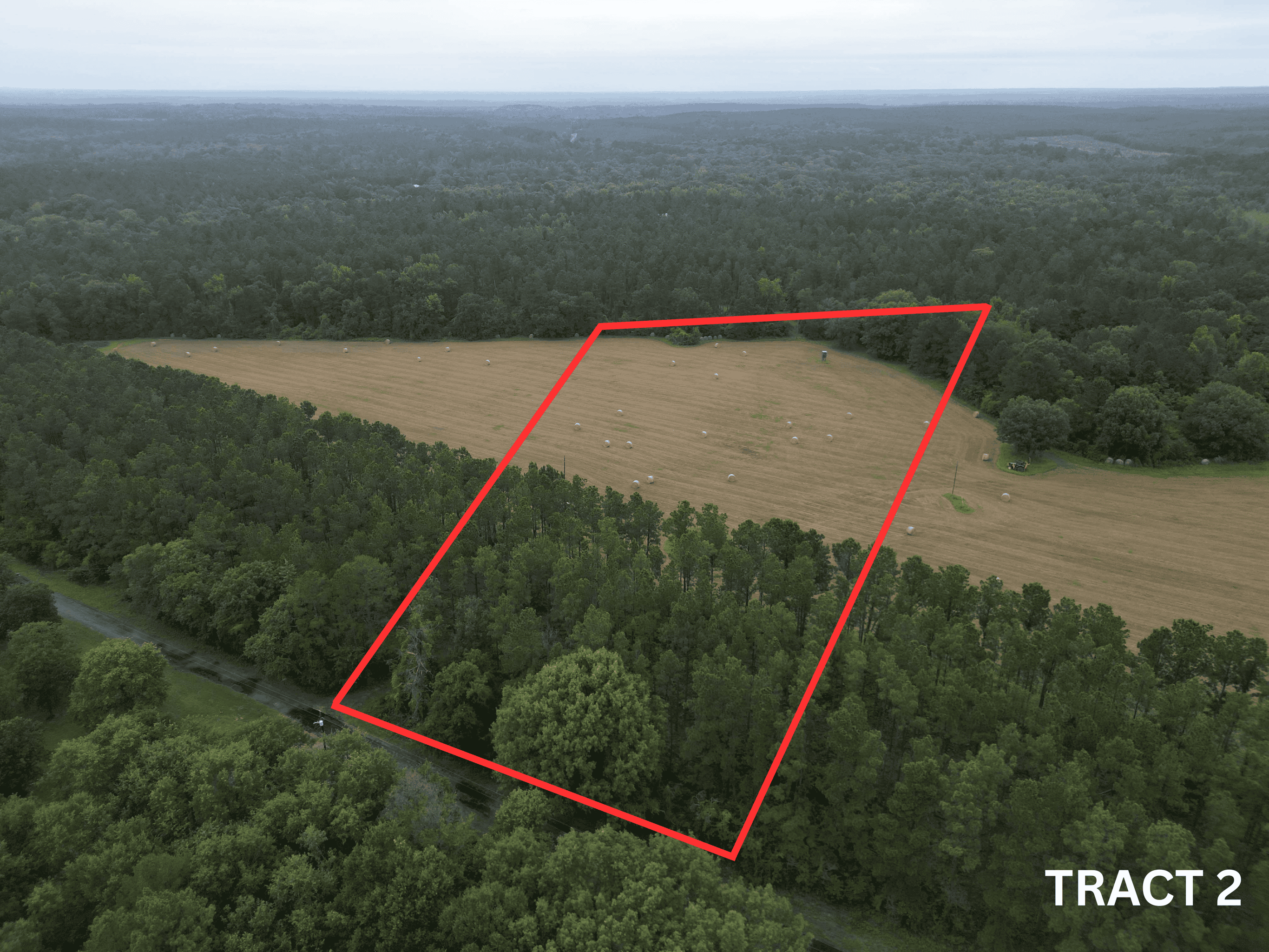 East Texas Land For Sale in McLeod, Texas