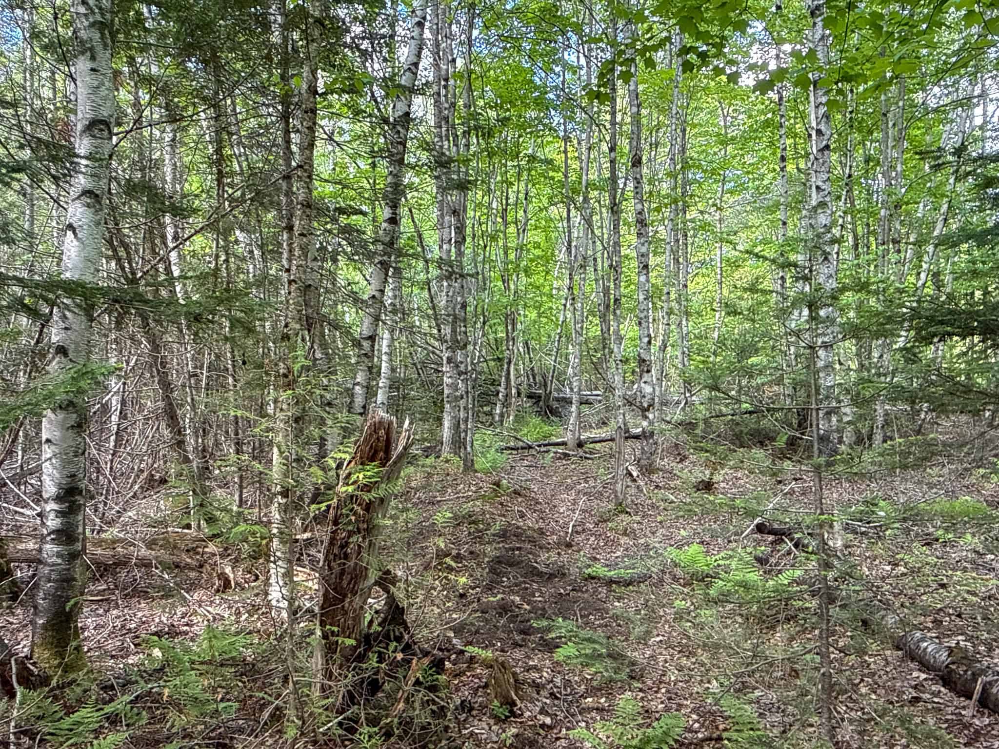 46 Acres of Maine Wilderness with Turnkey Off-Grid Cabin & Garage