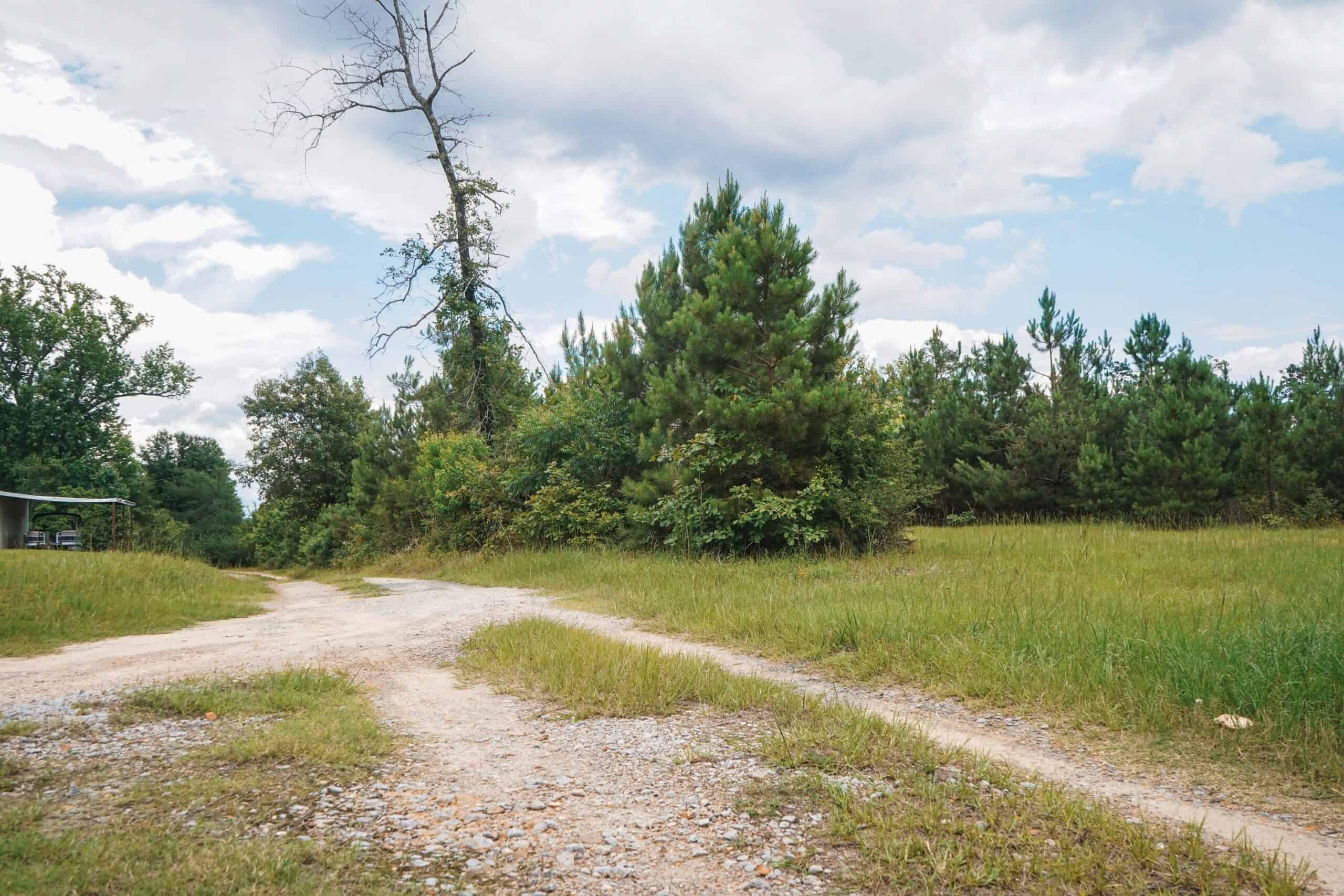 Weston 53 – Timber & Hunting Land in Louisiana