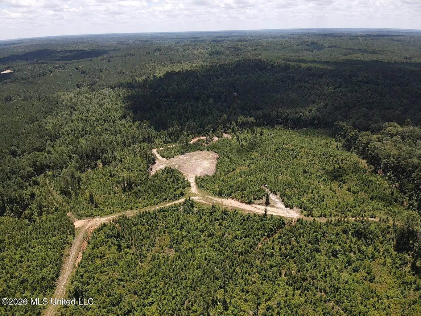 Wilkinson County MS Hunting Land for Sale