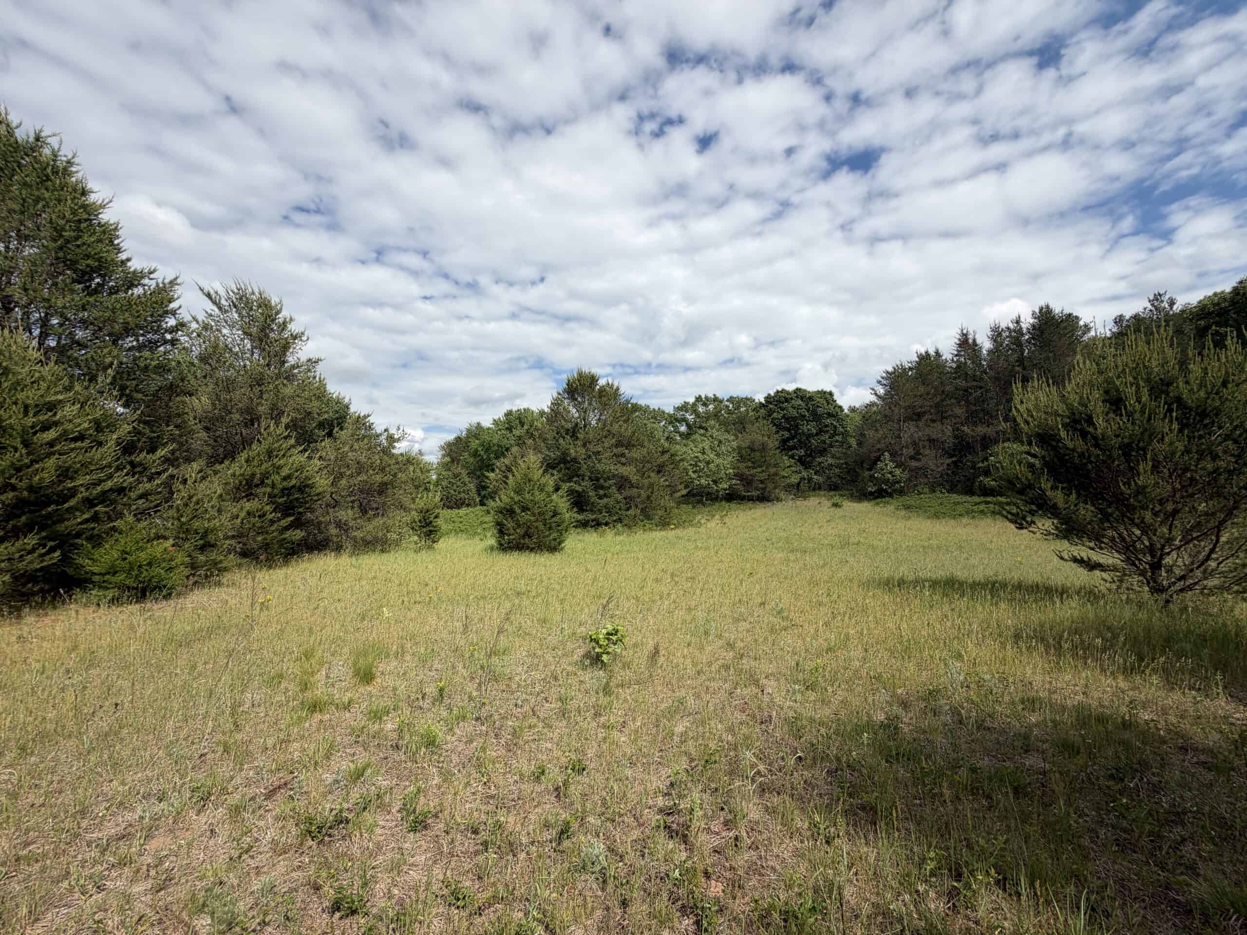 Forty acres in Adams County located in the Town of Strongs Prairie