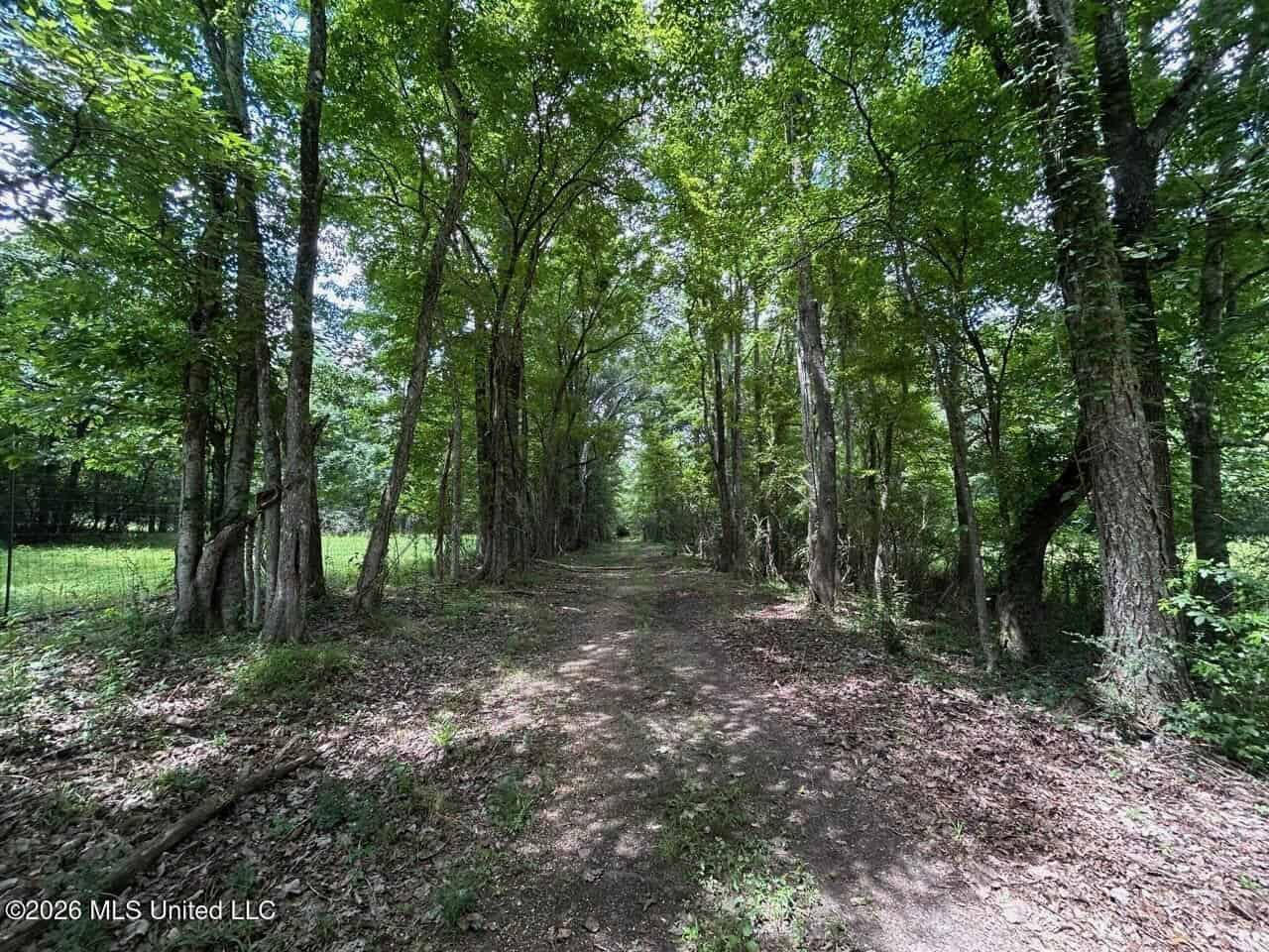 44 Acre Hunting Land in Wilkinson County, MS