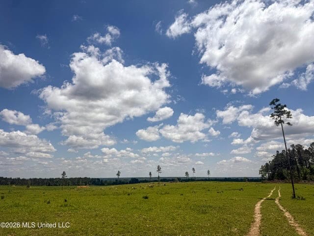 Pasture Land for Sale in Lincoln County, MS