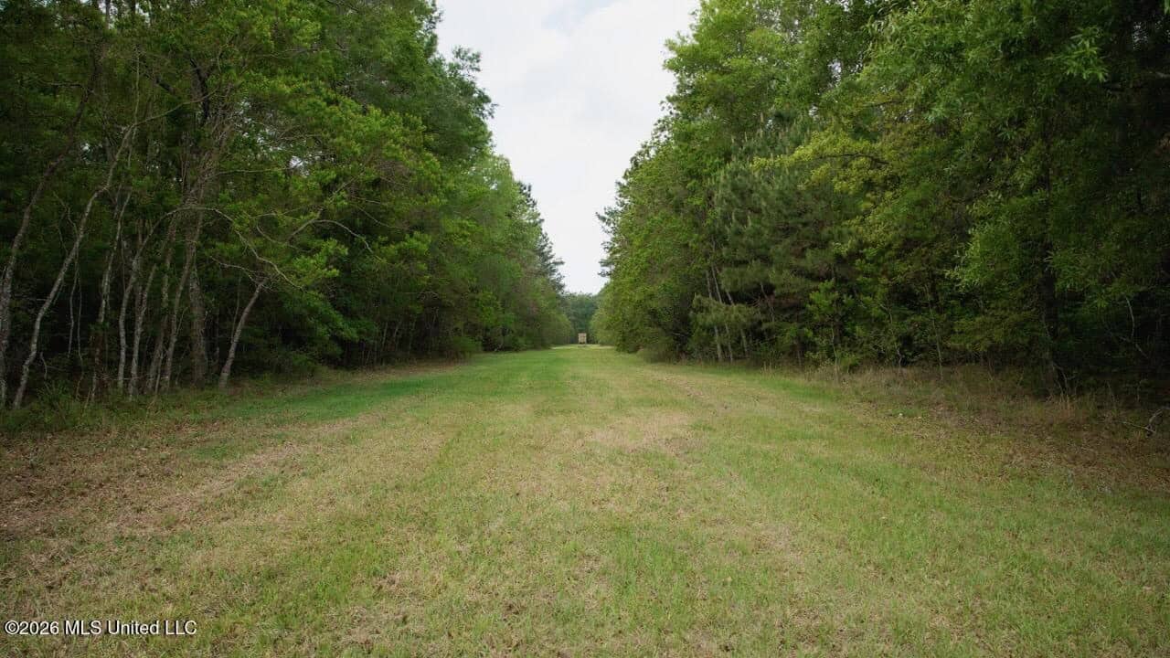 Paradise Whitetails in Oakdale, LA – 1,116± Acres