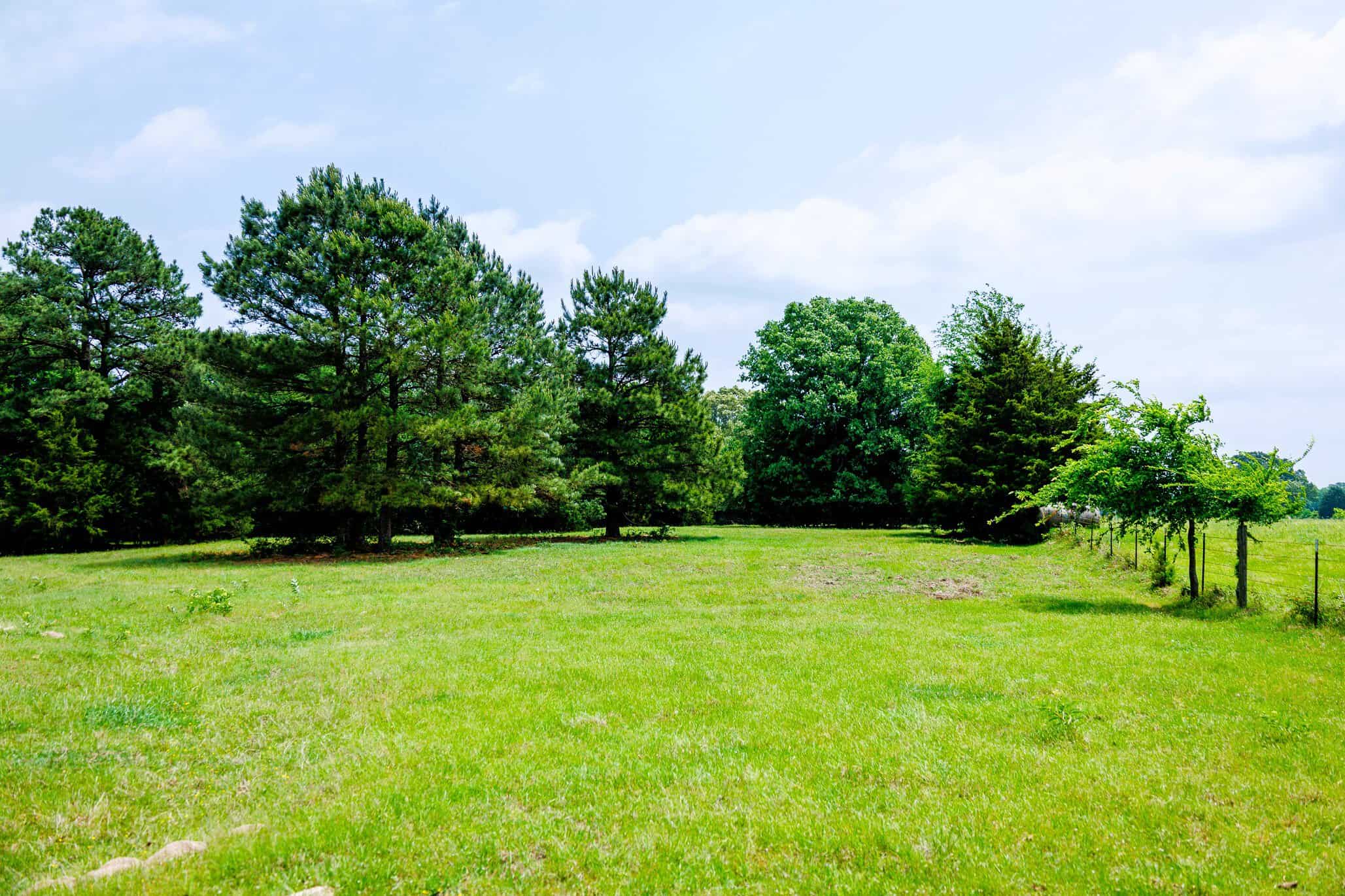 47.79-Acre Hunting Land with Cabin for Sale Ben Wheeler TX