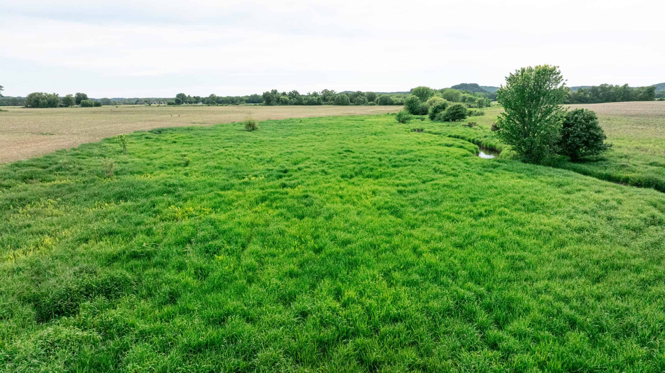 Online Auction 125± Acres of Farmland, Recreation & Investment Property