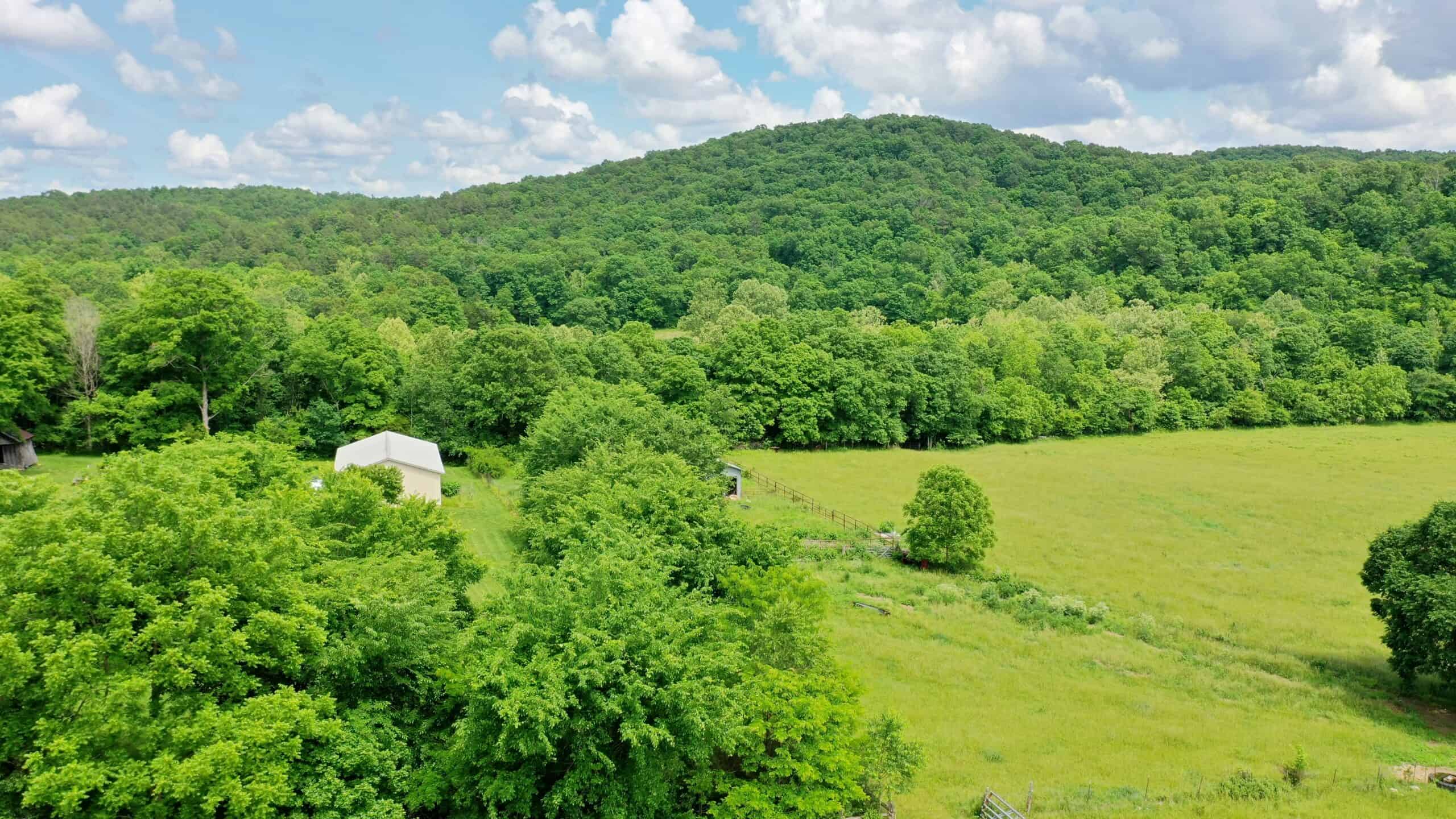 Large Acreage Farm For Sale in the MO Ozarks with Timber, Pasture