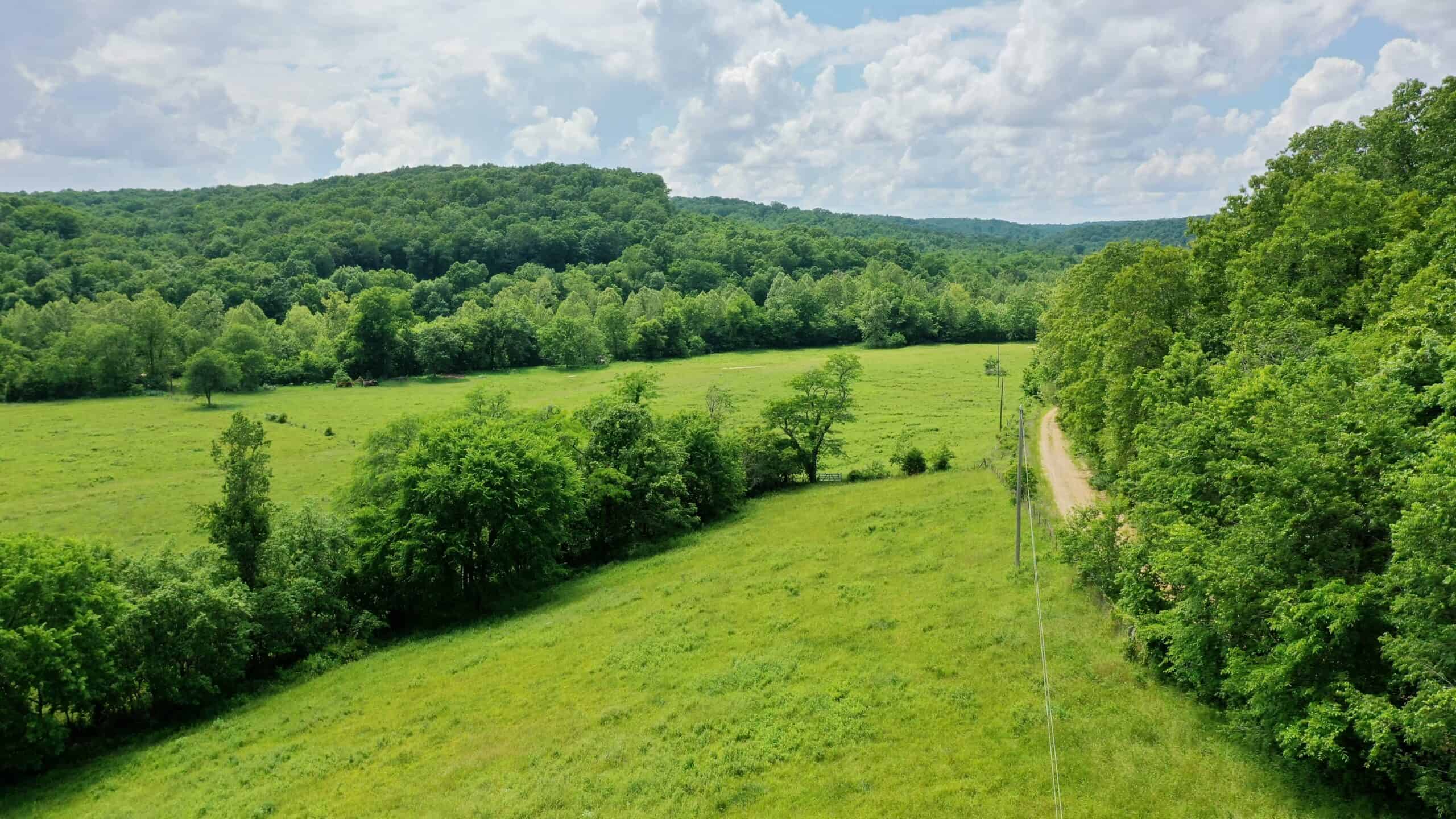 Large Acreage Farm For Sale in the MO Ozarks with Timber, Pasture
