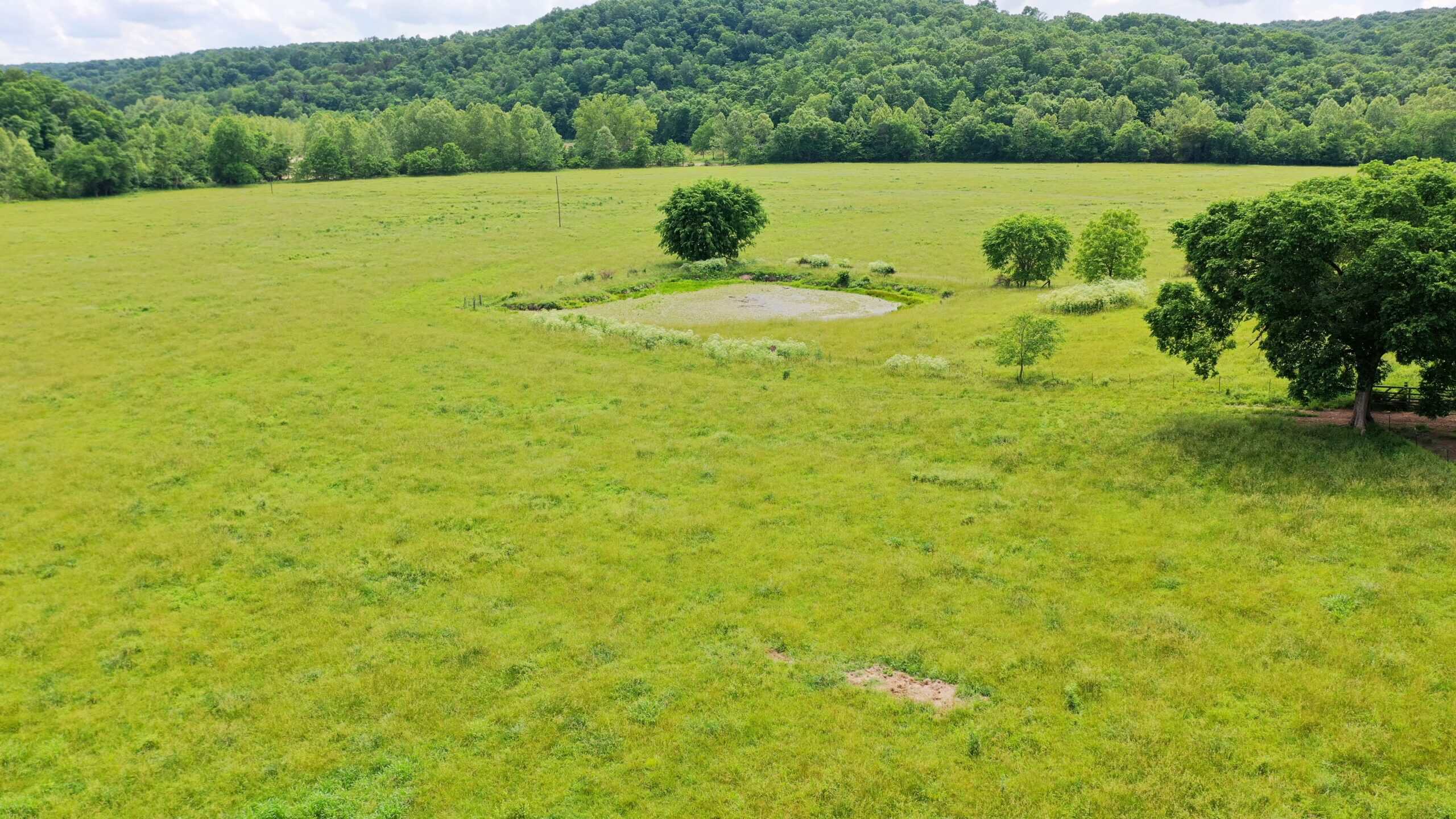 Large Acreage Farm For Sale in the MO Ozarks with Timber, Pasture