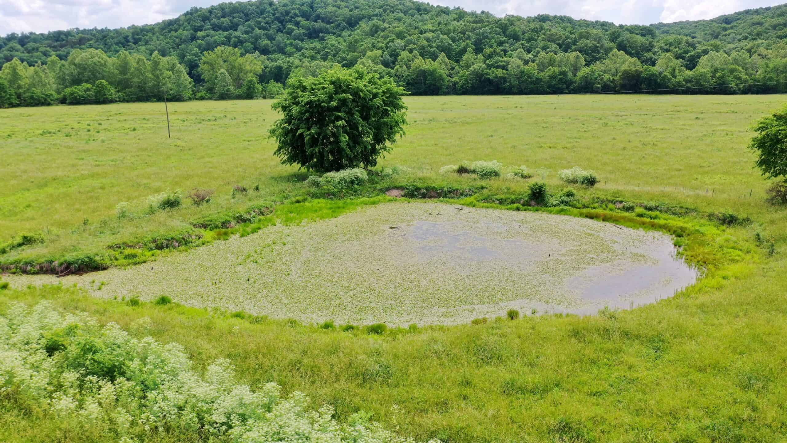 Large Acreage Farm For Sale in the MO Ozarks with Timber, Pasture