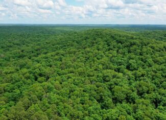 Large Acreage Farm For Sale in the MO Ozarks with Timber, Pasture