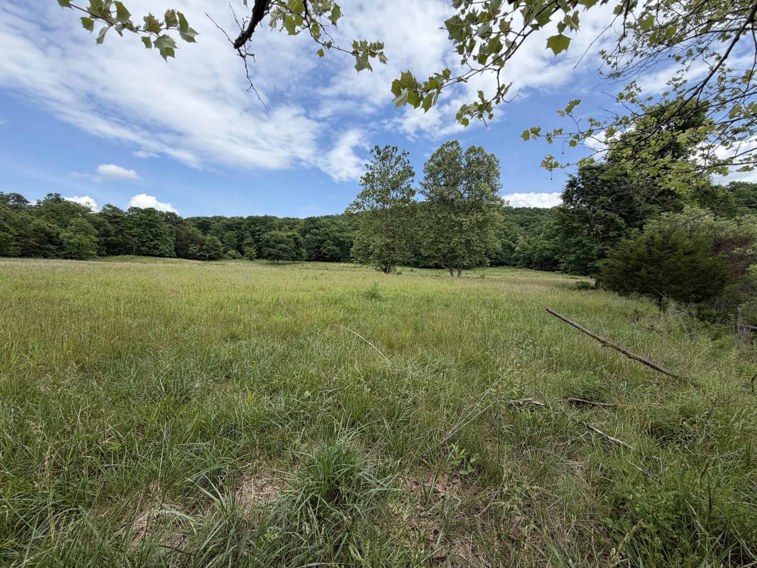 Large Acreage Farm For Sale in the MO Ozarks with Timber, Pasture