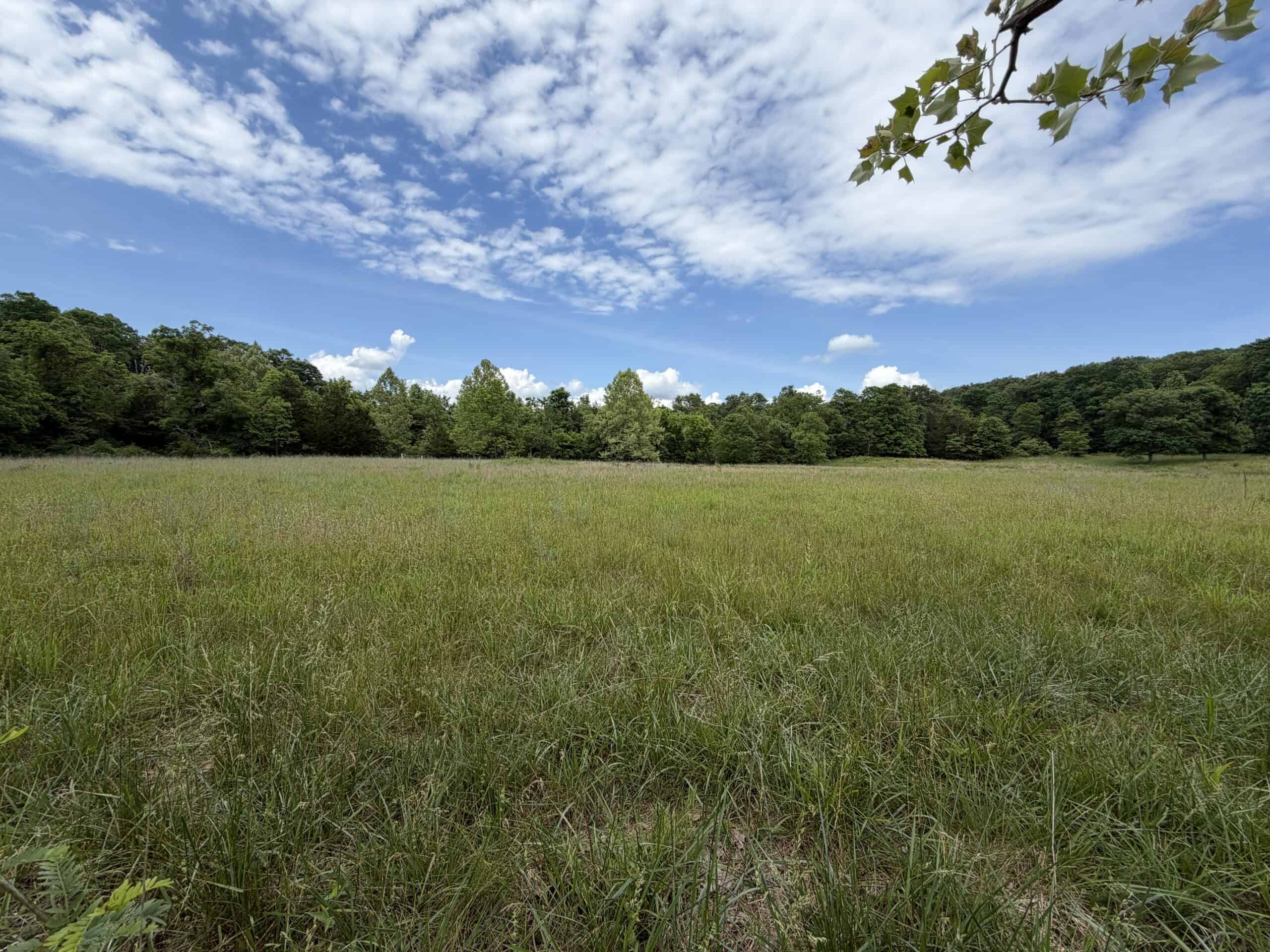 Large Acreage Farm For Sale in the MO Ozarks with Timber, Pasture