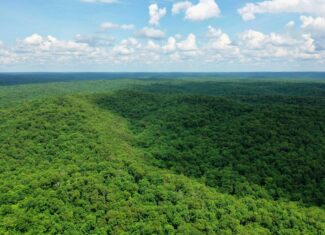 Large Acreage Farm For Sale in the MO Ozarks with Timber, Pasture