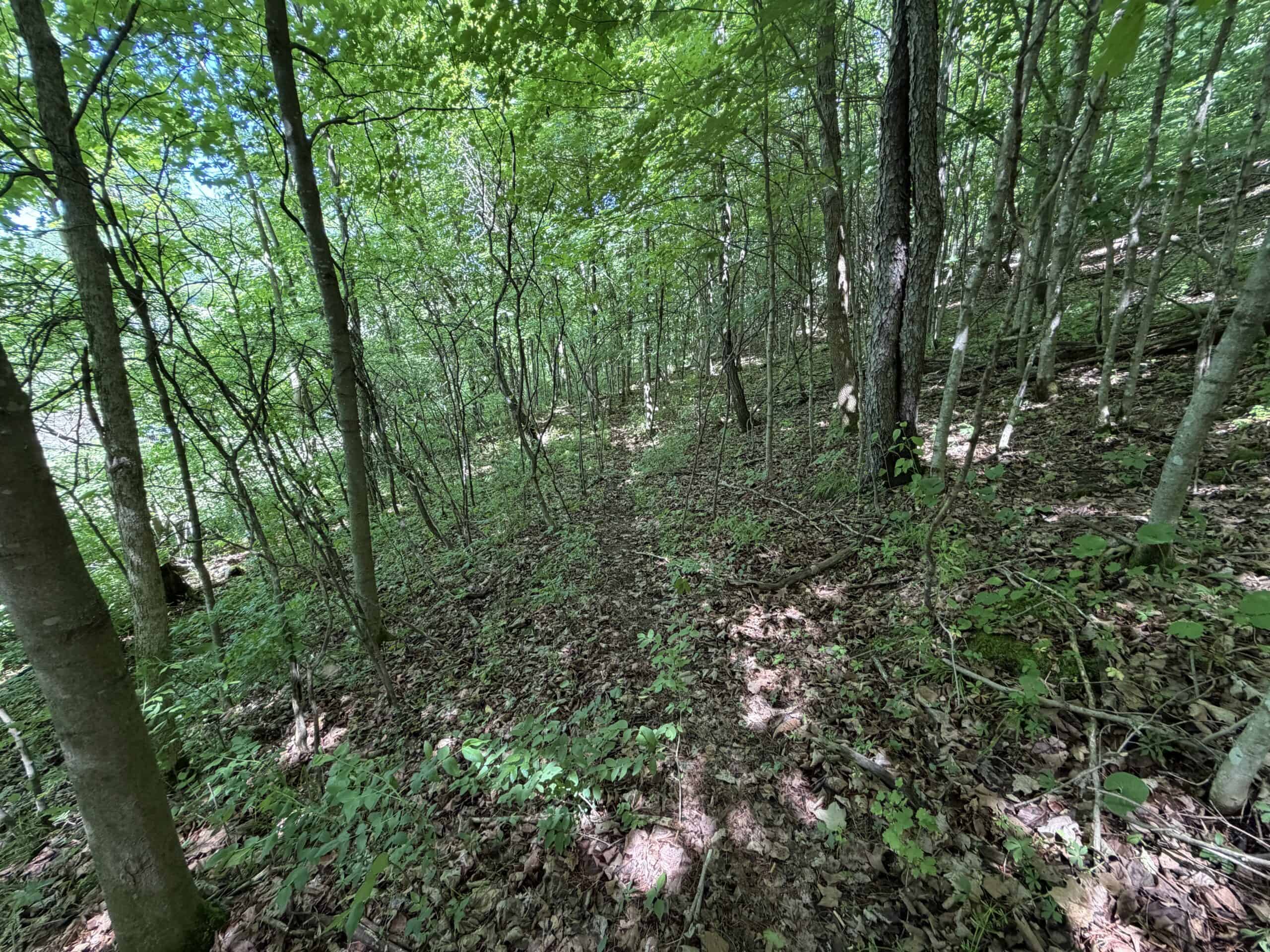 Trout Stream, Woods, Hunting & Fishing, Great Building Site