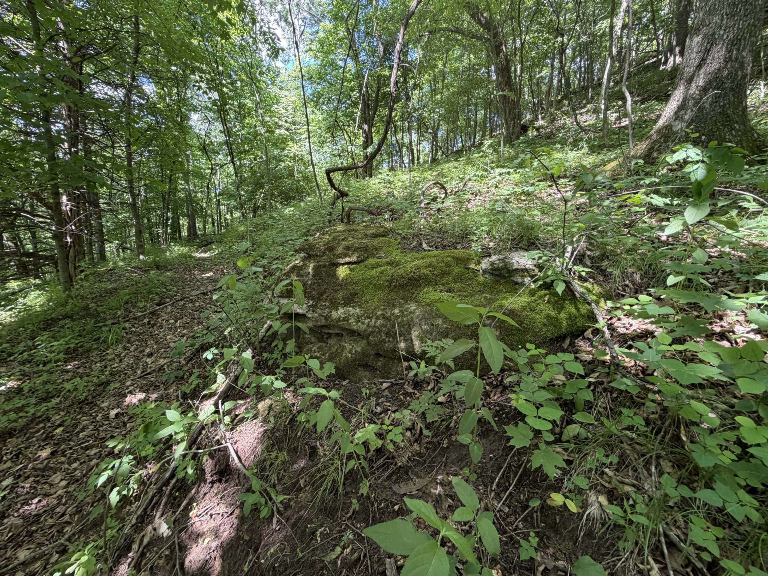 Trout Stream, Woods, Hunting & Fishing, Great Building Site