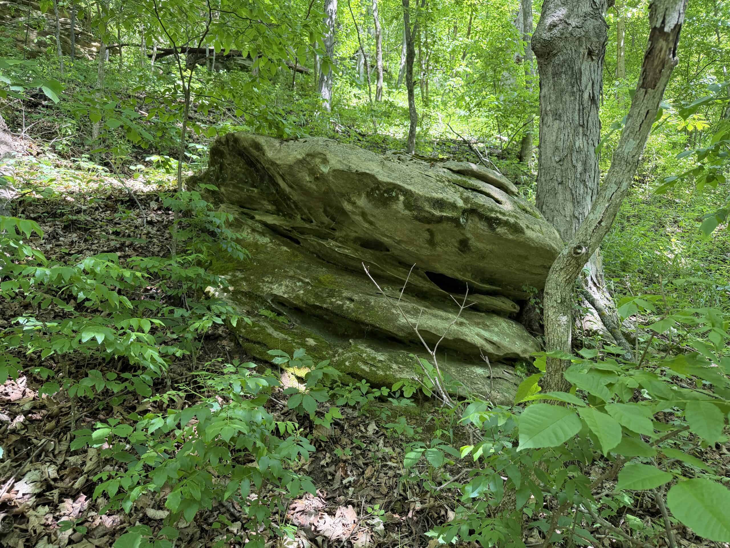 Trout Stream, Woods, Hunting & Fishing, Great Building Site
