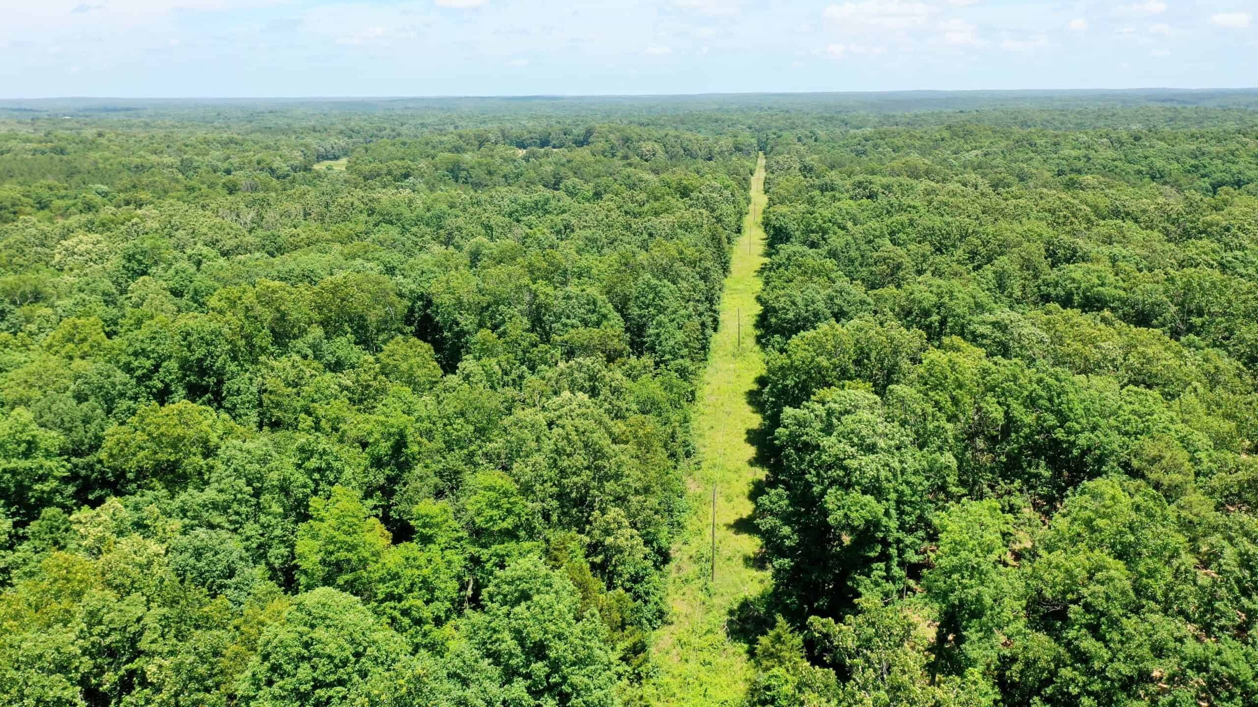 Wooded Hunting Land & Pond Near Salem, MO