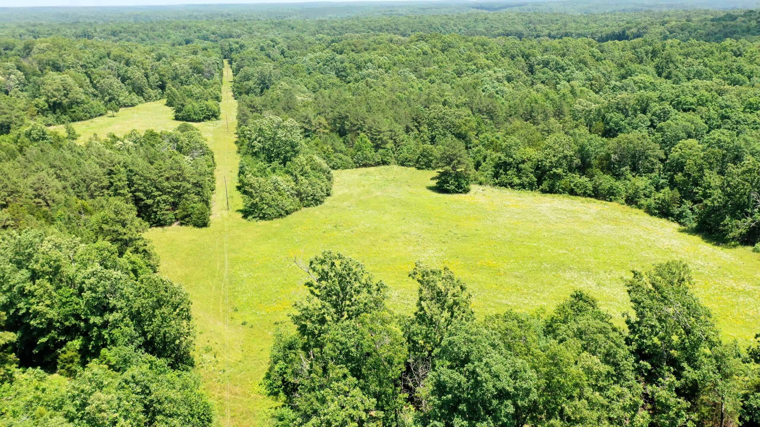 Wooded Hunting Land & Pond Near Salem, MO