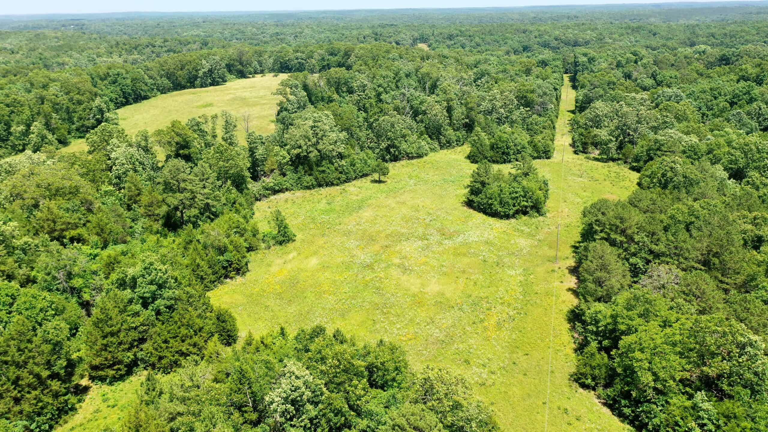Wooded Hunting Land & Pond Near Salem, MO