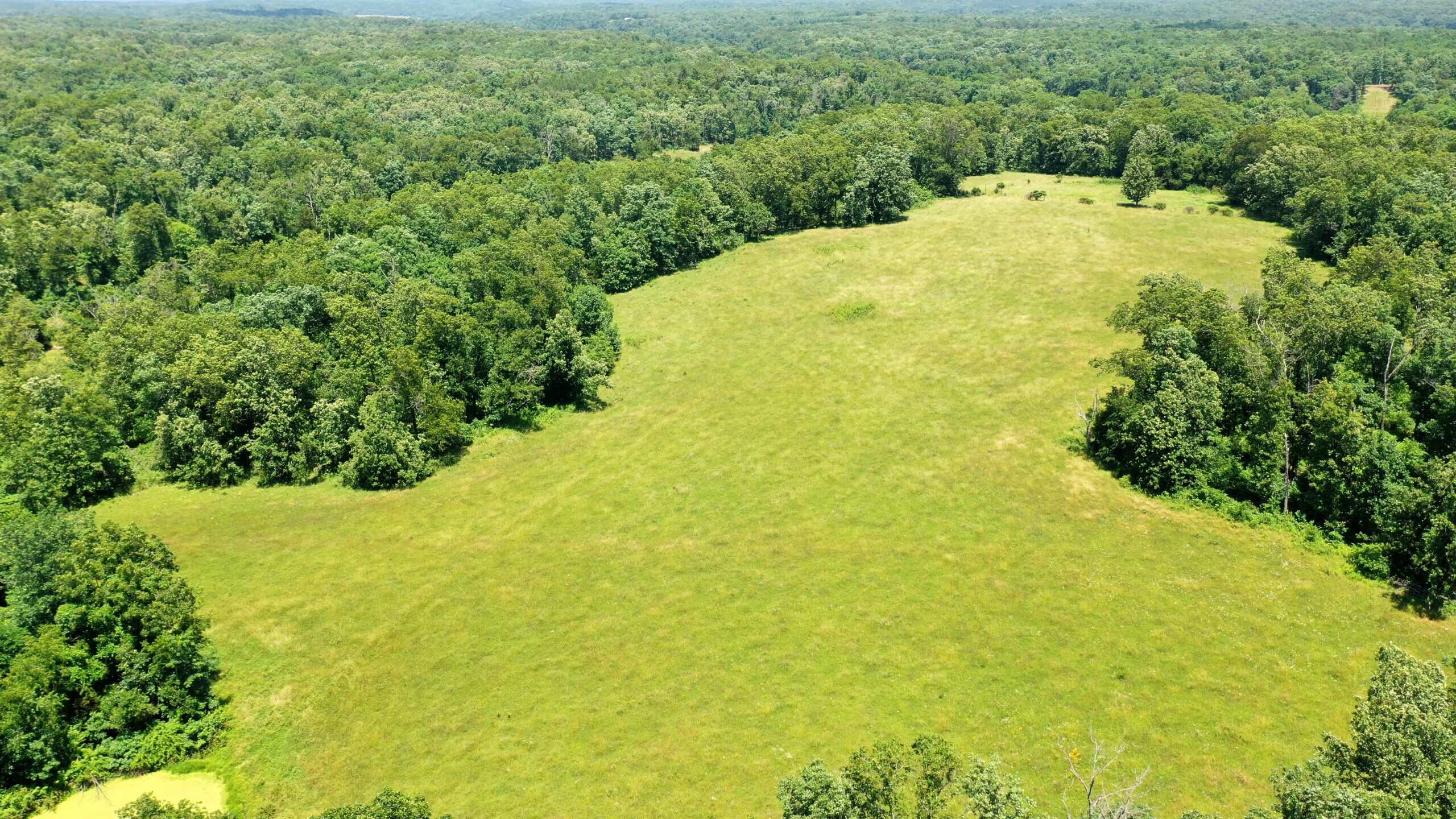 Wooded Hunting Land & Pond Near Salem, MO
