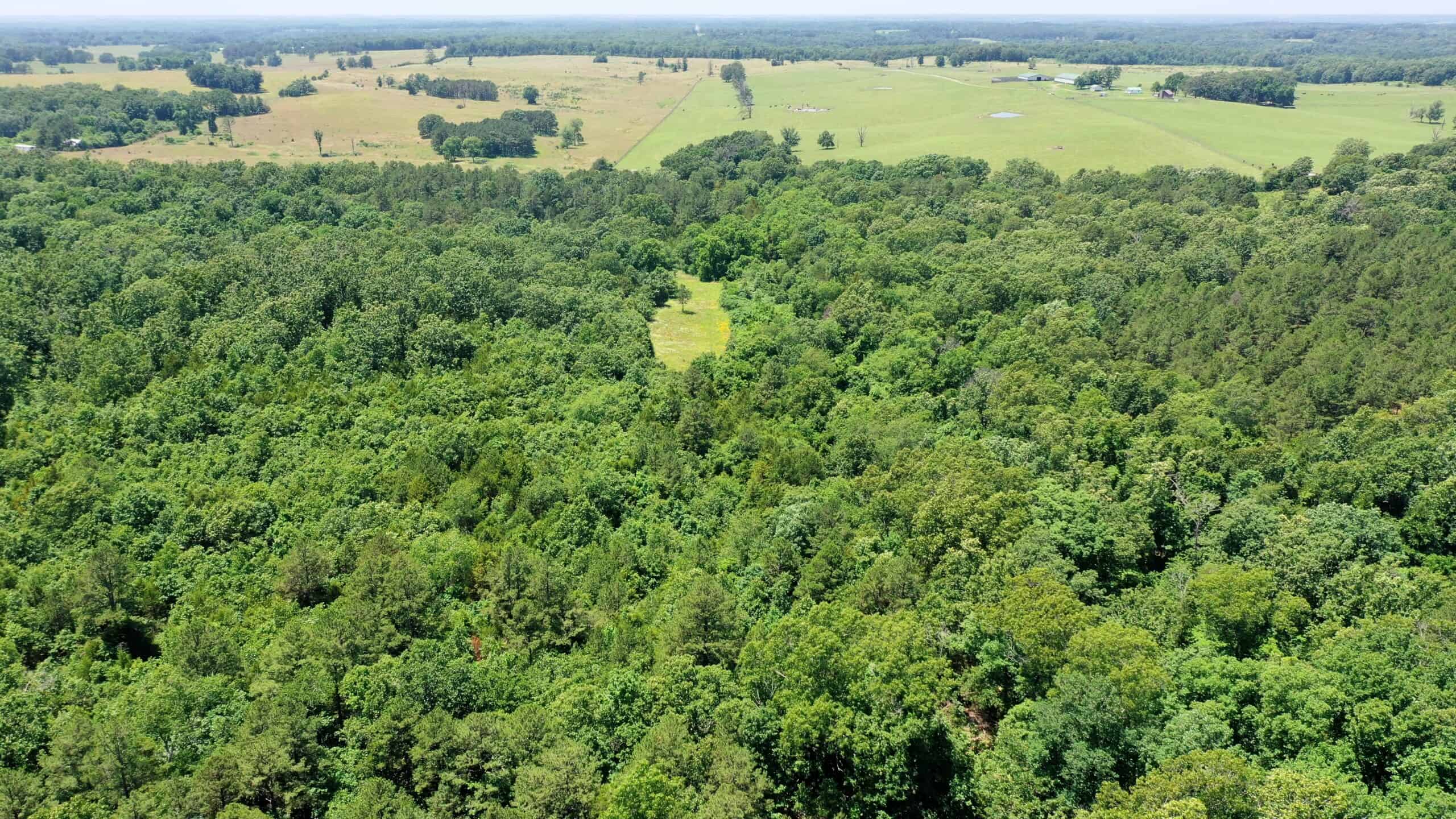 Wooded Hunting Land & Pond Near Salem, MO