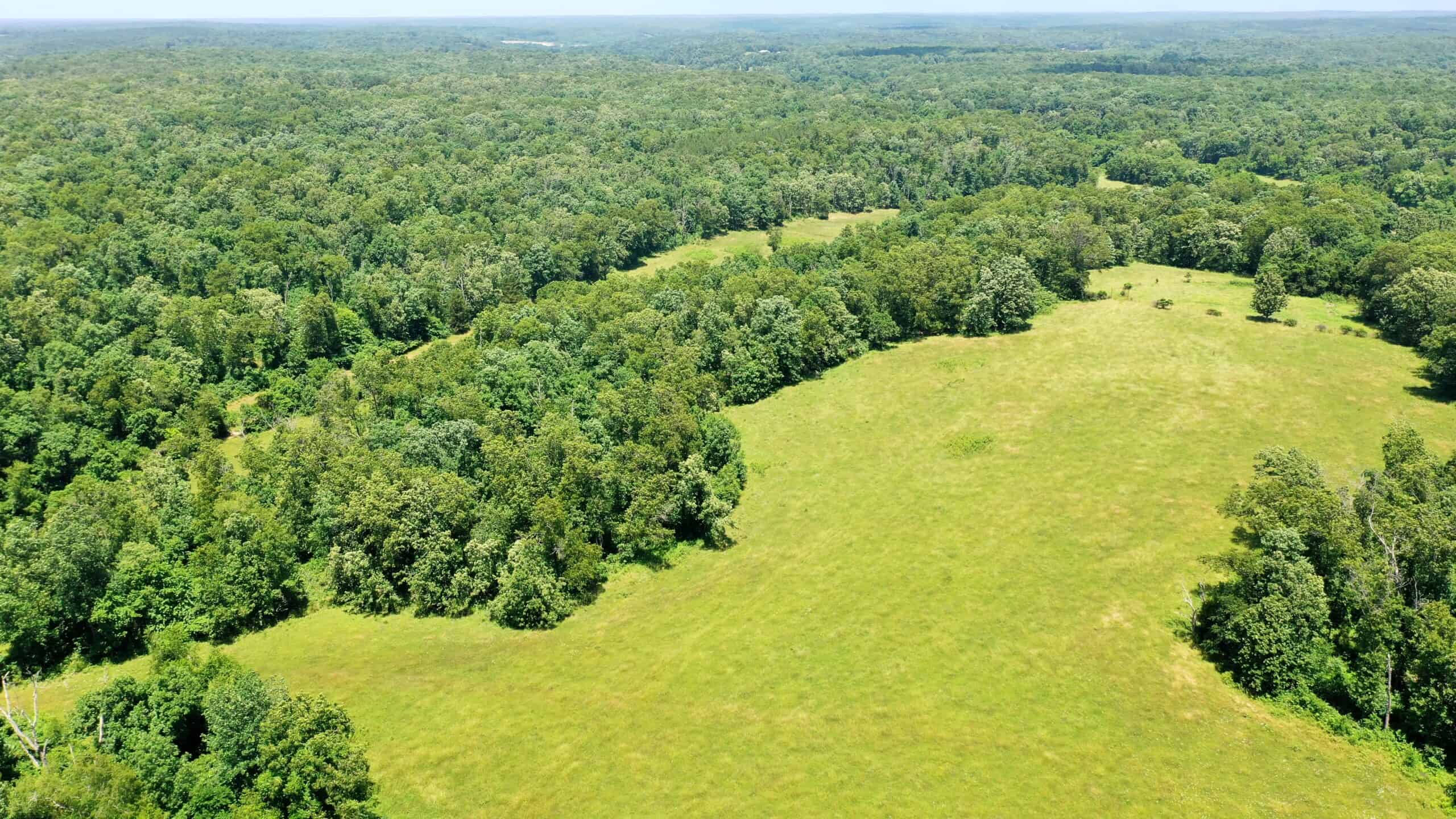 Wooded Hunting Land & Pond Near Salem, MO