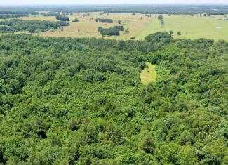 Wooded Hunting Land & Pond Near Salem, MO