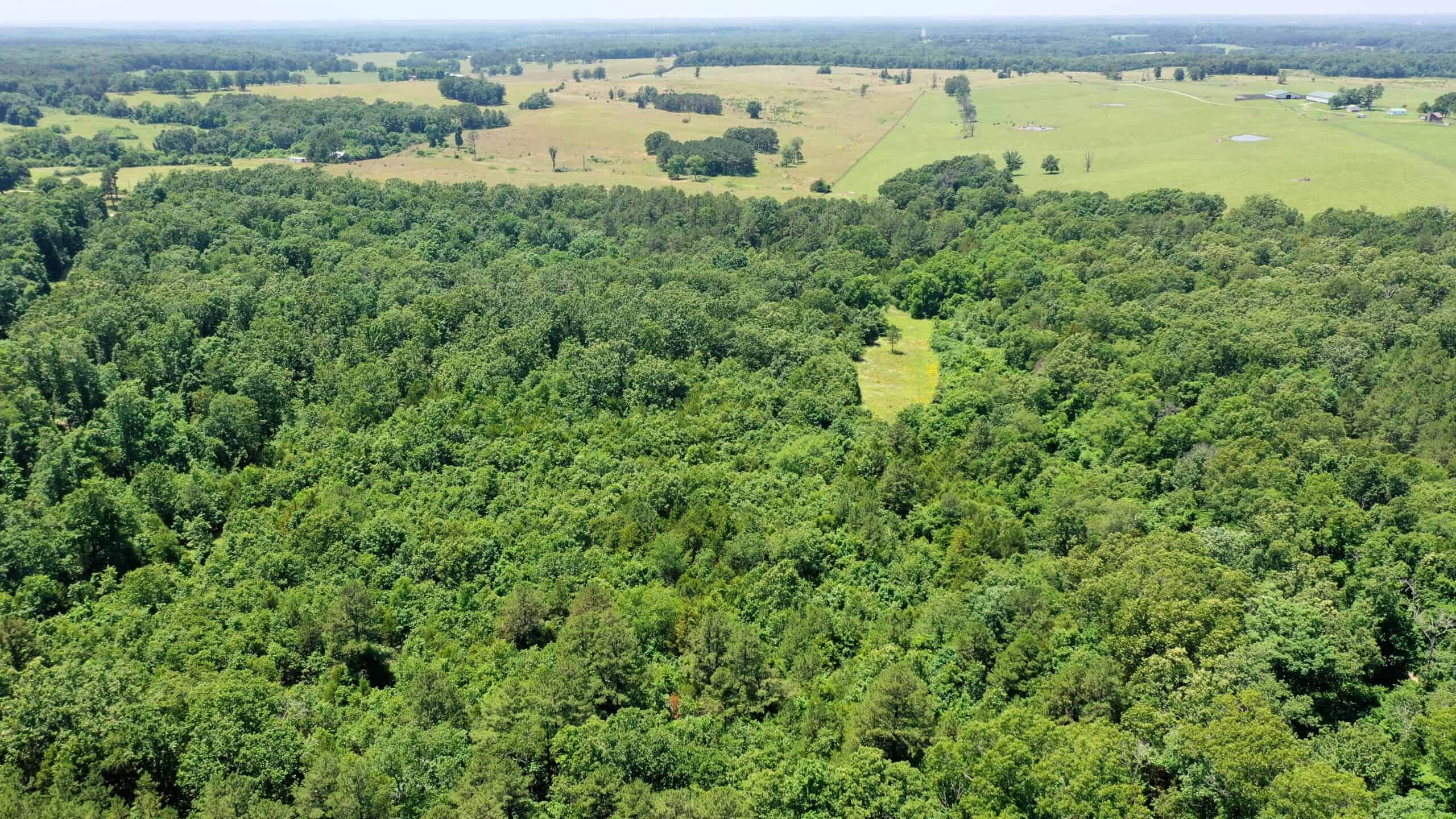 Wooded Hunting Land & Pond Near Salem, MO