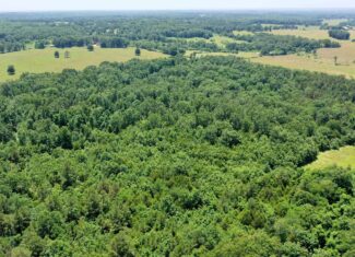 Wooded Hunting Land & Pond Near Salem, MO