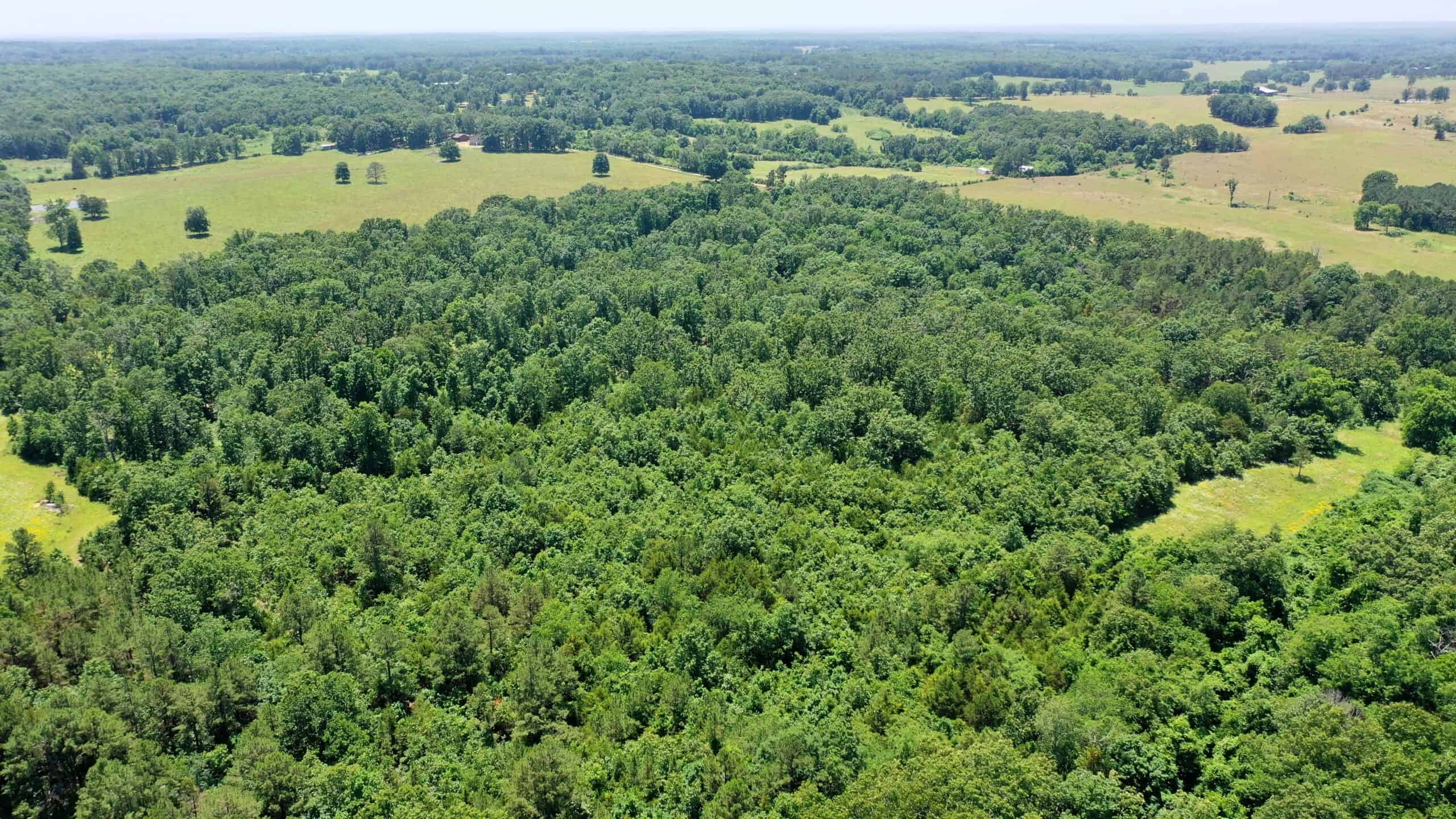 Wooded Hunting Land & Pond Near Salem, MO