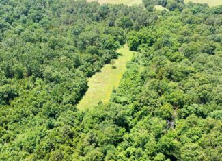 Wooded Hunting Land & Pond Near Salem, MO