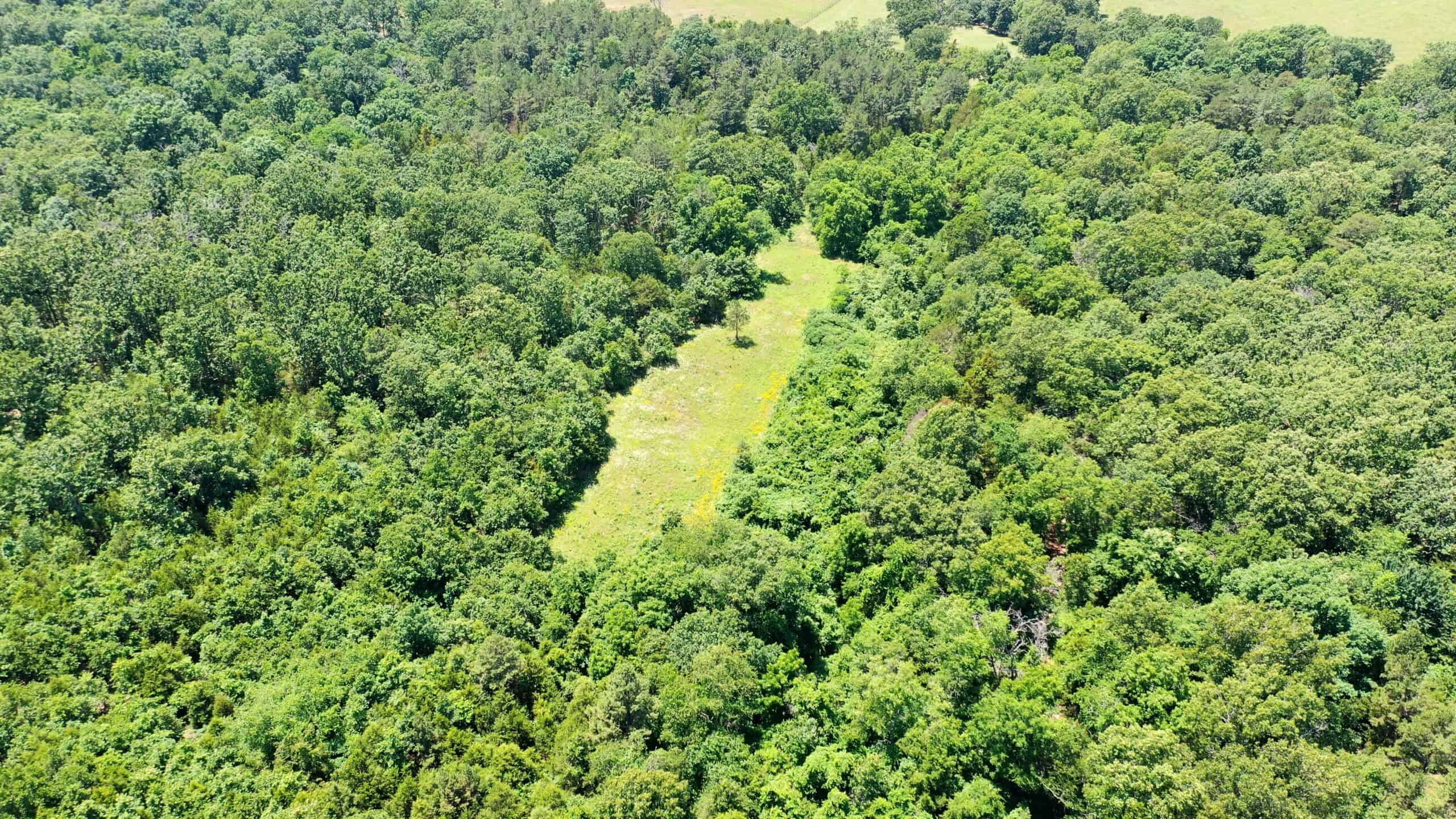 Wooded Hunting Land & Pond Near Salem, MO