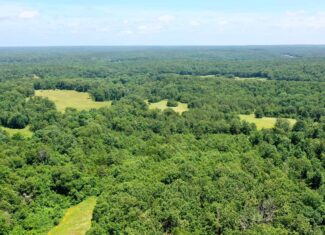 Wooded Hunting Land & Pond Near Salem, MO
