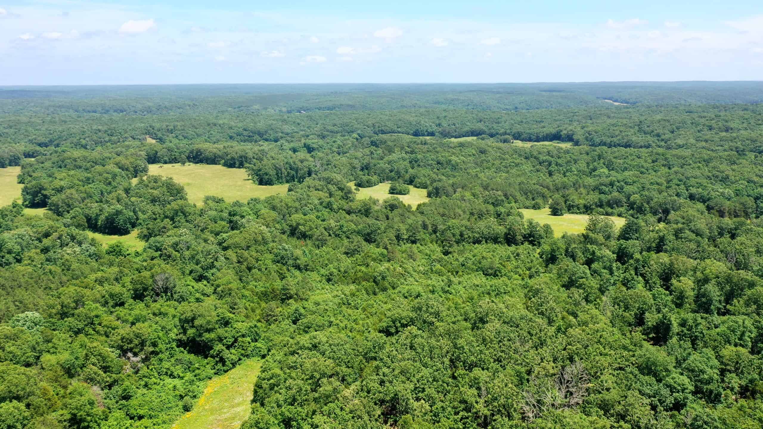 Wooded Hunting Land & Pond Near Salem, MO