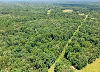 Wooded Hunting Land & Pond Near Salem, MO