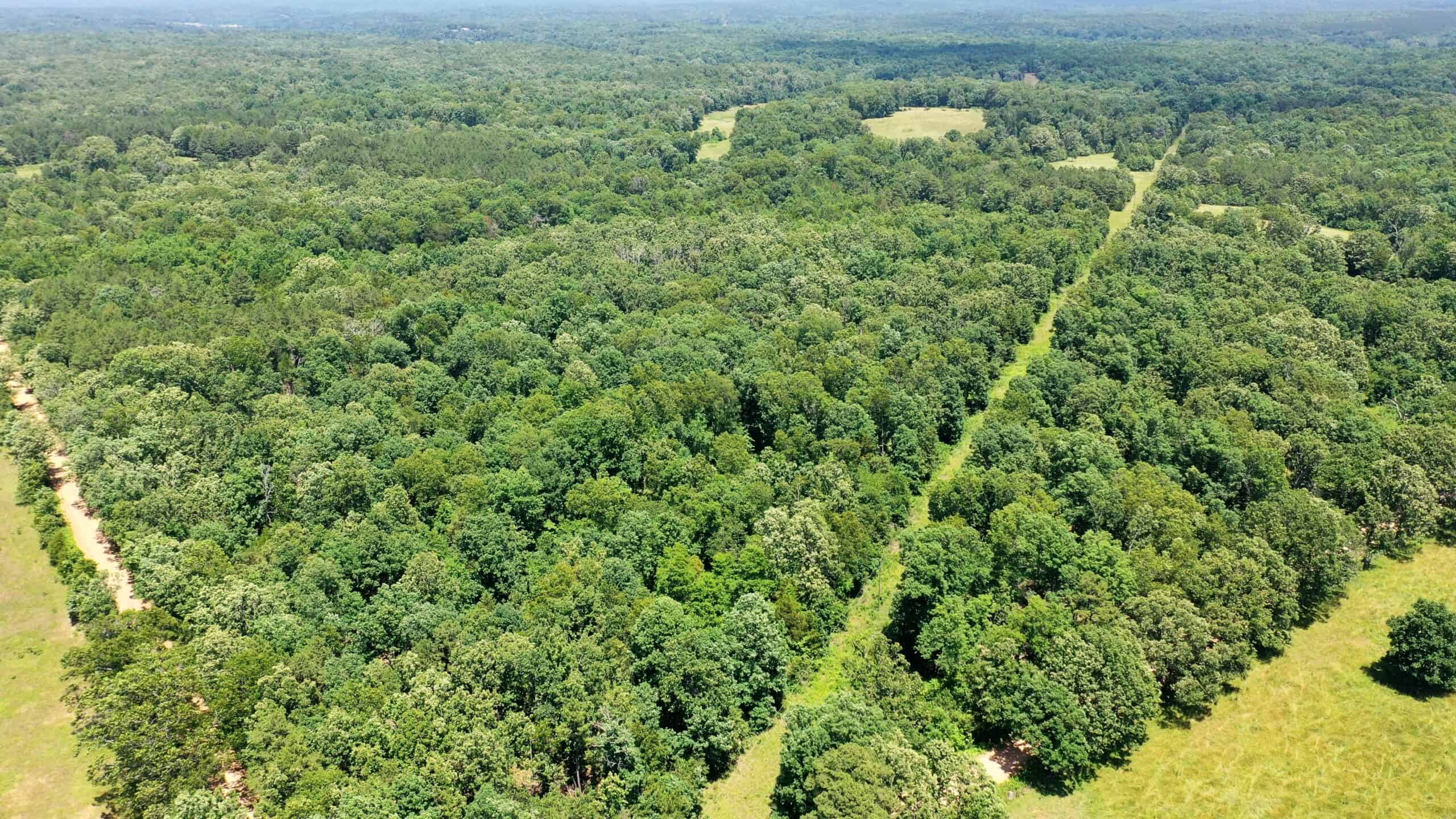 Wooded Hunting Land & Pond Near Salem, MO