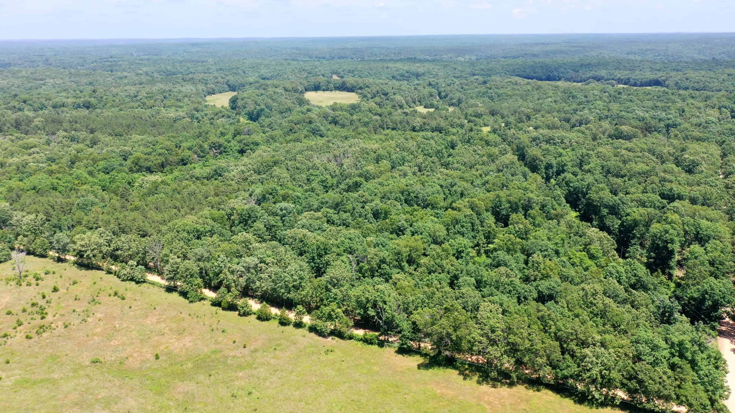 Wooded Hunting Land & Pond Near Salem, MO